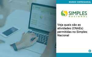 Veja Quais São As Atividades (cnaes) Permitidas No Simples Nacional Abrir Empresa Simples - Contabilidade em Porto Seguro - BA | Macedo Contabilidade